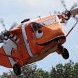 Nemo