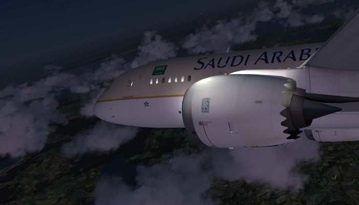 Wing & engine slat rays from wing lights on Aerosim 787