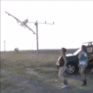 Aeronildo