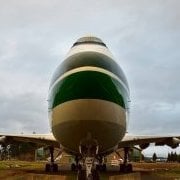 shamrockflyer