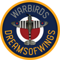Dreamsofwings1