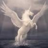 Pegasus1