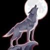 Lonewolfee1