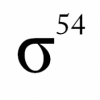 Sigma54