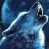 1Wolf