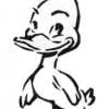 Mallard