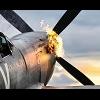 Kiwi Spitfire