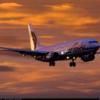Pilot767